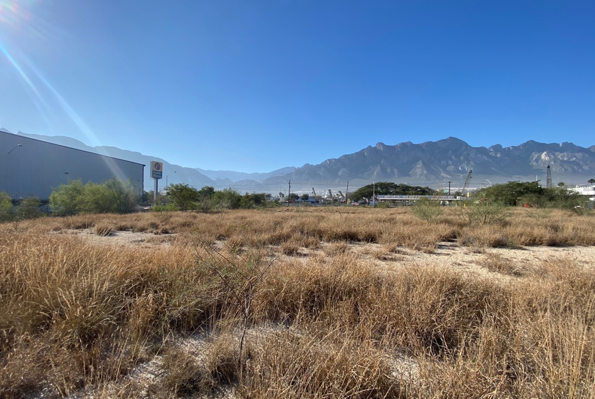 WhatsApp Image 2022-12-22 at 4.25.44 PM (1)