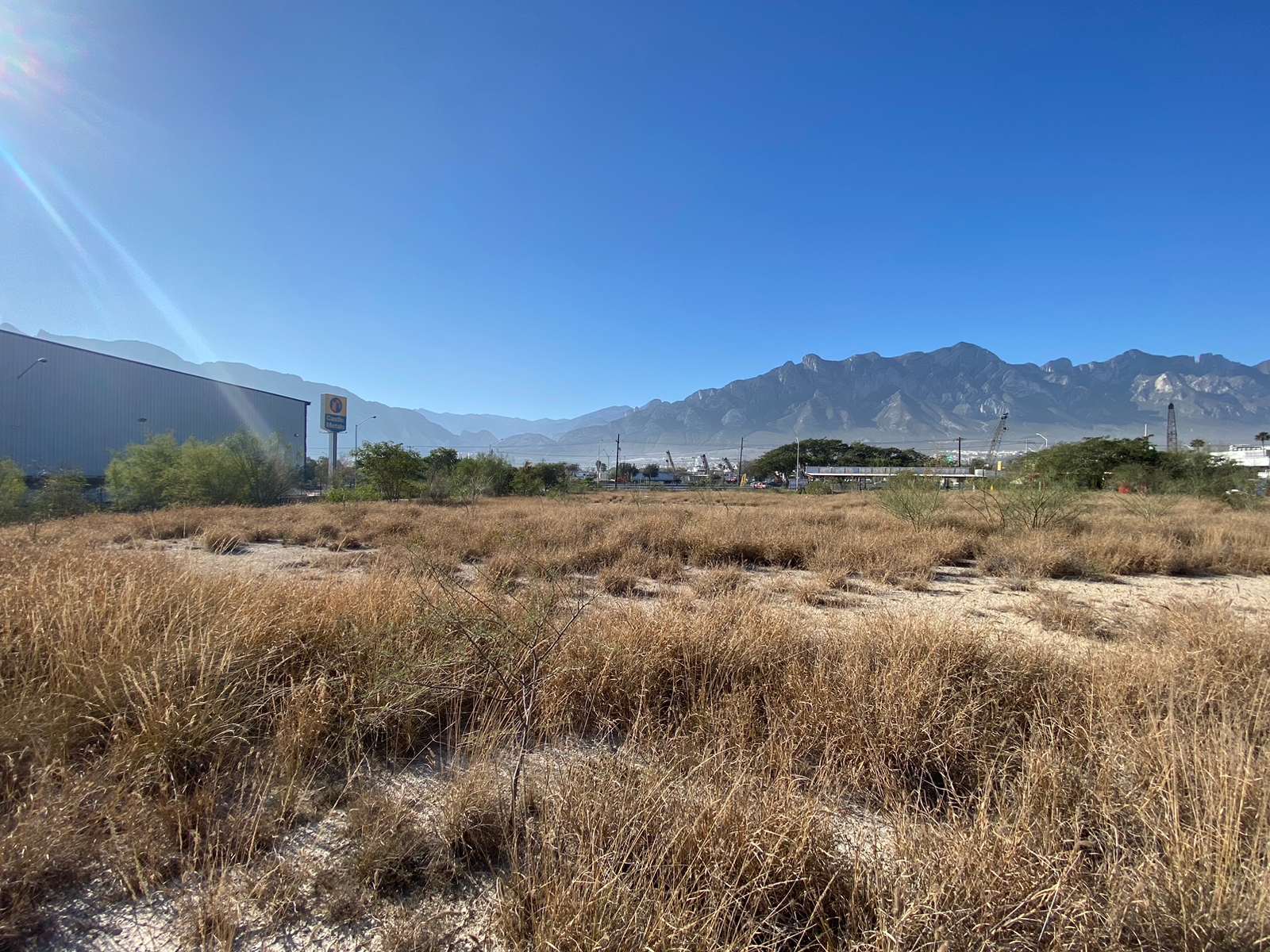 WhatsApp Image 2022-12-22 at 4.25.44 PM (1)